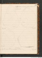 Seite 87, Tagebuch "Palästina (Tagebuch)" (NHMW-PRAE-BBB-80)